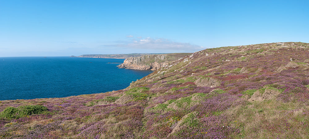 cliffs purple flowers