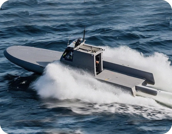 Dolphin USV