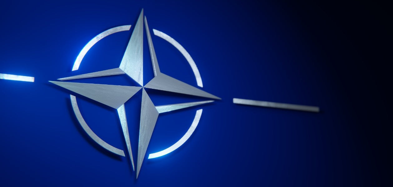 International Drone Dominance: a NATO Blueprint for the Next Decade
